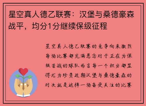 星空真人德乙联赛：汉堡与桑德豪森战平，均分1分继续保级征程